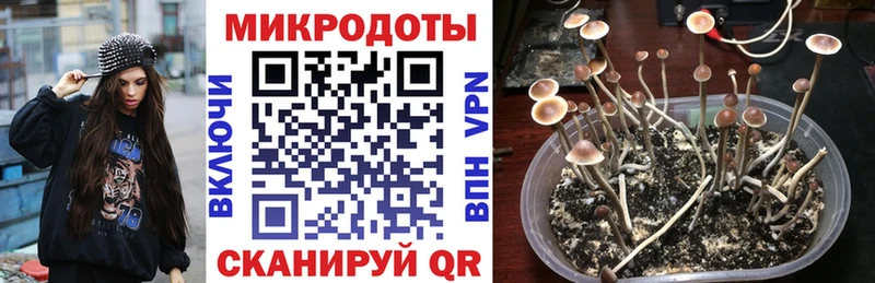 Псилоцибиновые грибы мицелий Славянск-на-Кубани